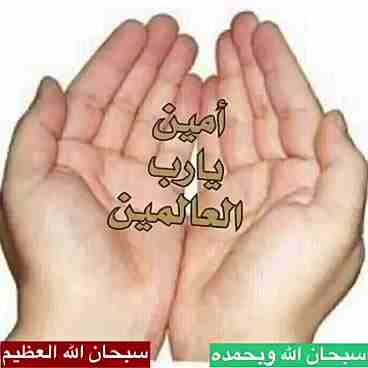 الزرقاء
لا تنسَ أنك شاهدت هذا الإعلان في عنكبوت
صيانة عامه ابو أنس 0787408129 ديكورات...