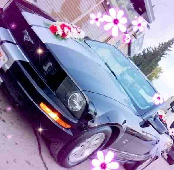 فورد موستنج كشف الاعراس والافراح 0785856774
لا تنسَ أنك شاهدت هذا الإعلان في عنكبوت
فورد موستنج ك...