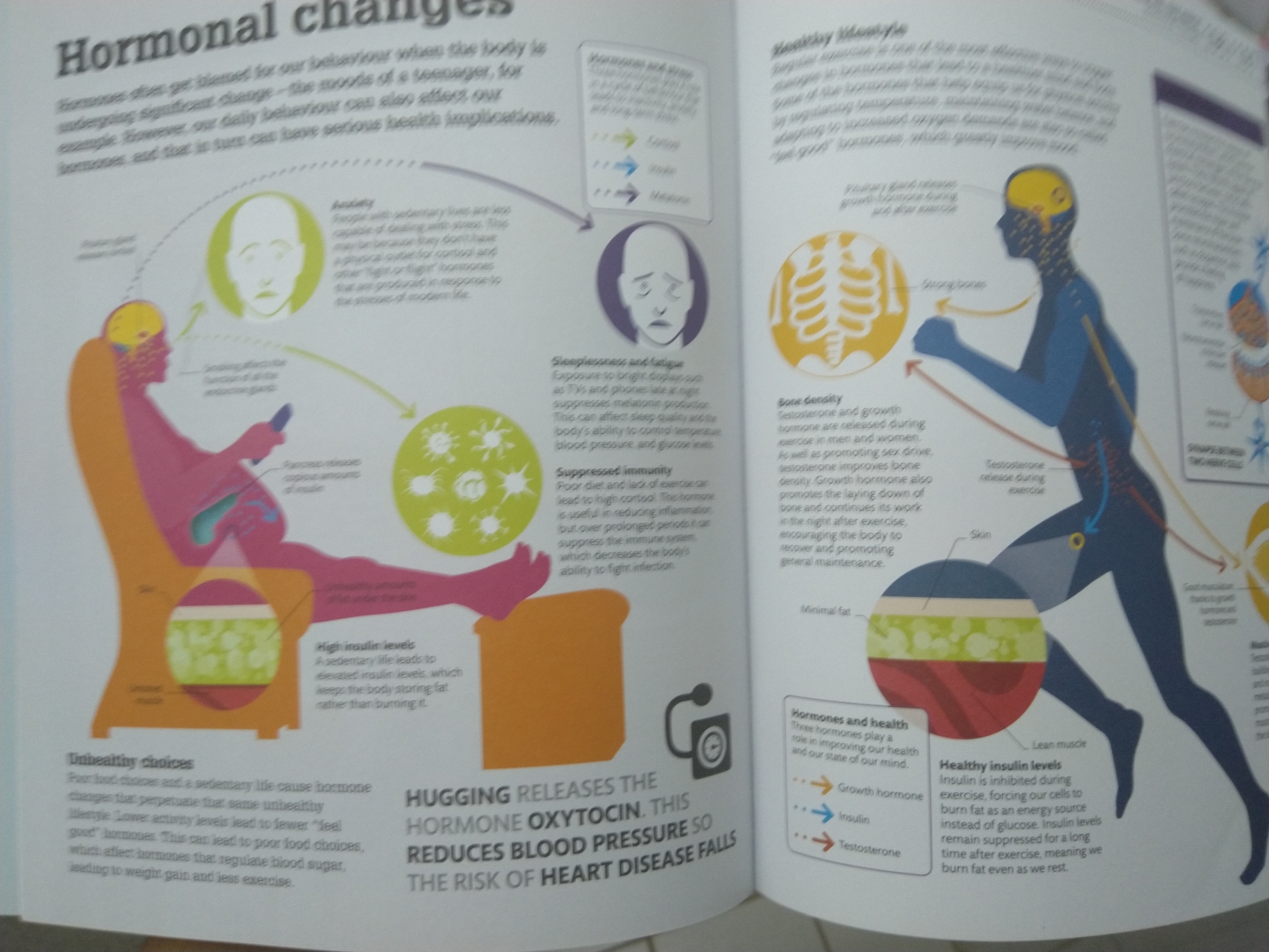 How The Body Works : The facts visually explained
لا تنسَ أنك شاهدت هذا الإعلان في عنكبوت
كتا...