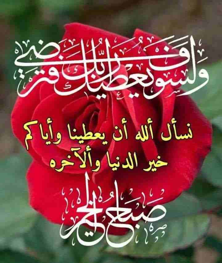 هواوي بي 8 لايت                                            


	 				لا تنسَ أنك شاهدت هذا الإعلان في عنكبوت            
	 				
                            هواوي بي 8لايت اسود شبه وكاله استعمال خفي...