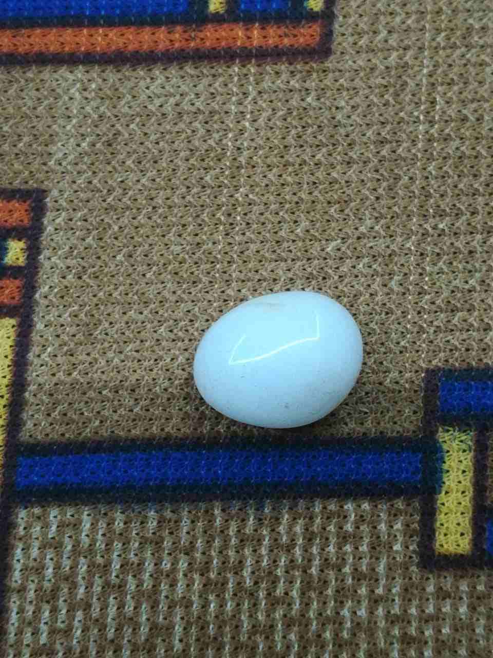 احجار كريمه اصليه                                            


	 				لا تنسَ أنك شاهدت هذا الإعلان في عنكبوت            
	 				
                            خاتم عقيق  رهيب قديم جدا جدا كان مخدوم...