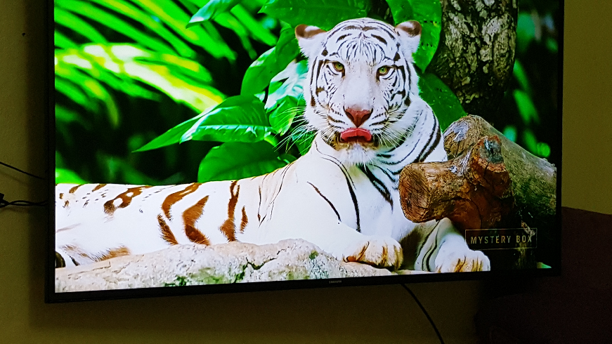 شاشة 55سامسونج smart 4k
لا تنسَ أنك شاهدت هذا الإعلان في عنكبوت
شاشه سامسونج 55 سمارت 4k جديدة ب...