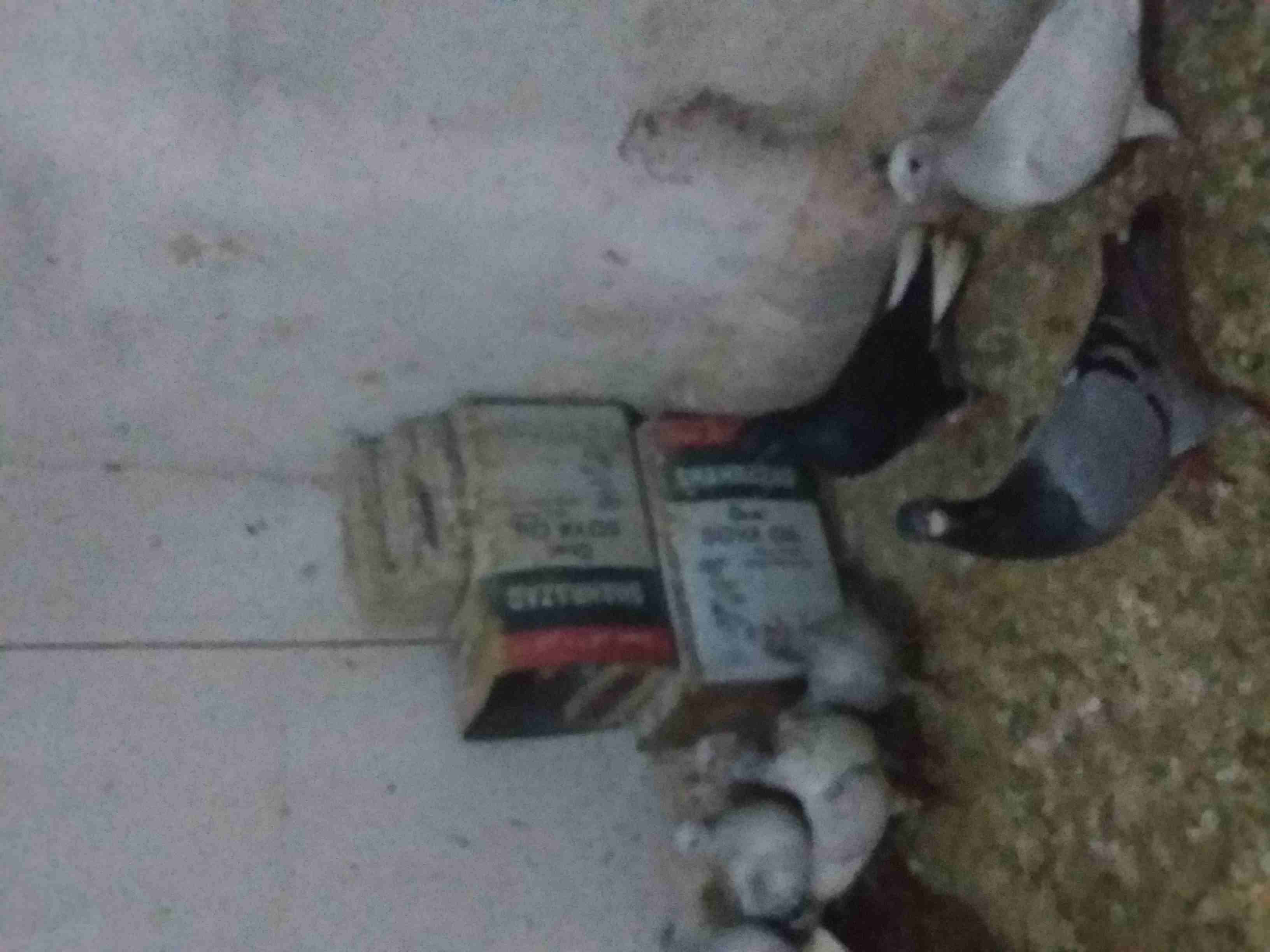 جوز حمام نخب للبيع                                            


	 				لا تنسَ أنك شاهدت هذا الإعلان في عنكبوت            
	 				
                            جوز نوريات اسود سواد الليل ذنب دف صافي...