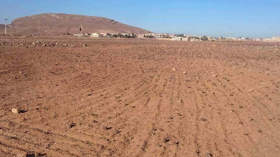 ارض للبيع المفرق البادية الشمالية تل الرماح زراعي31 دنم                                            


	 				لا تنسَ أنك شاهدت هذا الإعلان في عنكبوت...