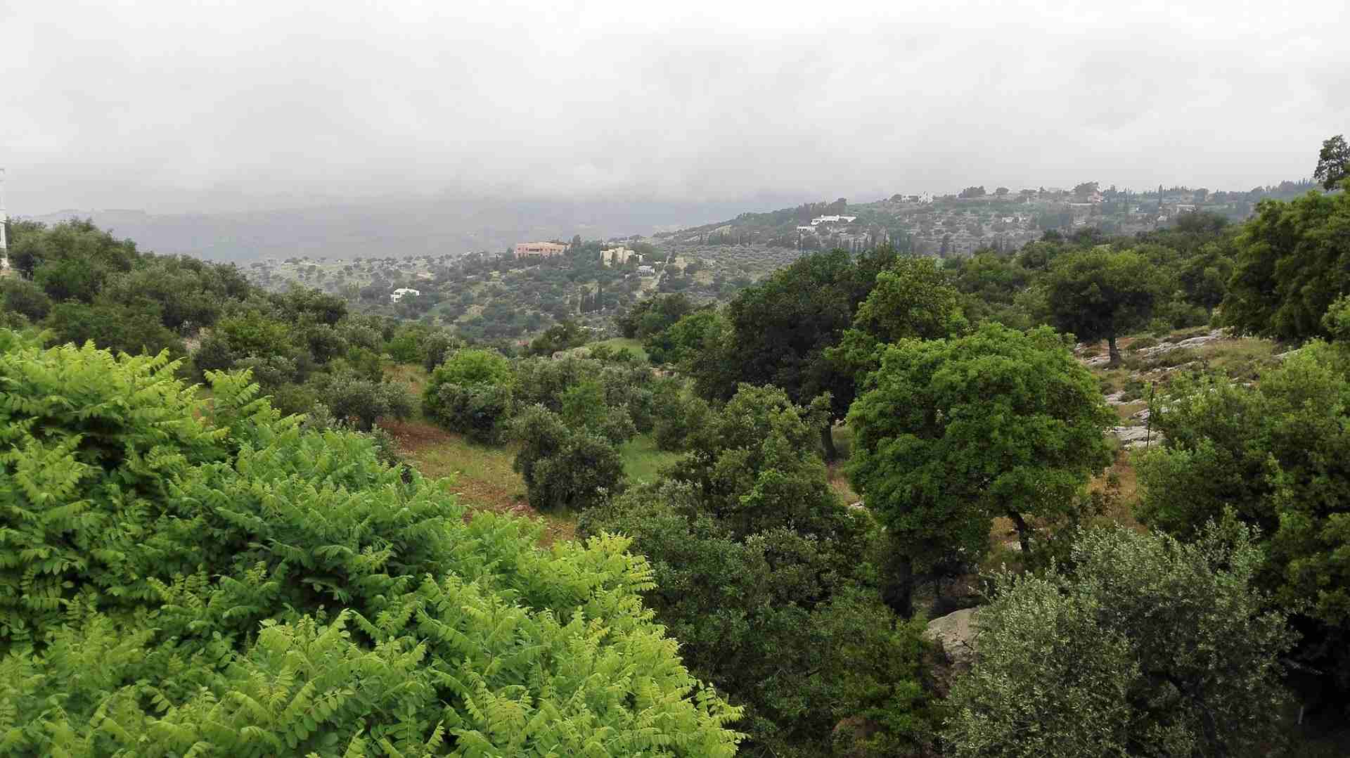 منطقه فلل بطابع ريفي 633م بدر الجديده
لا تنسَ أنك شاهدت هذا الإعلان في عنكبوت
أرض للبيع ، بدر الج...