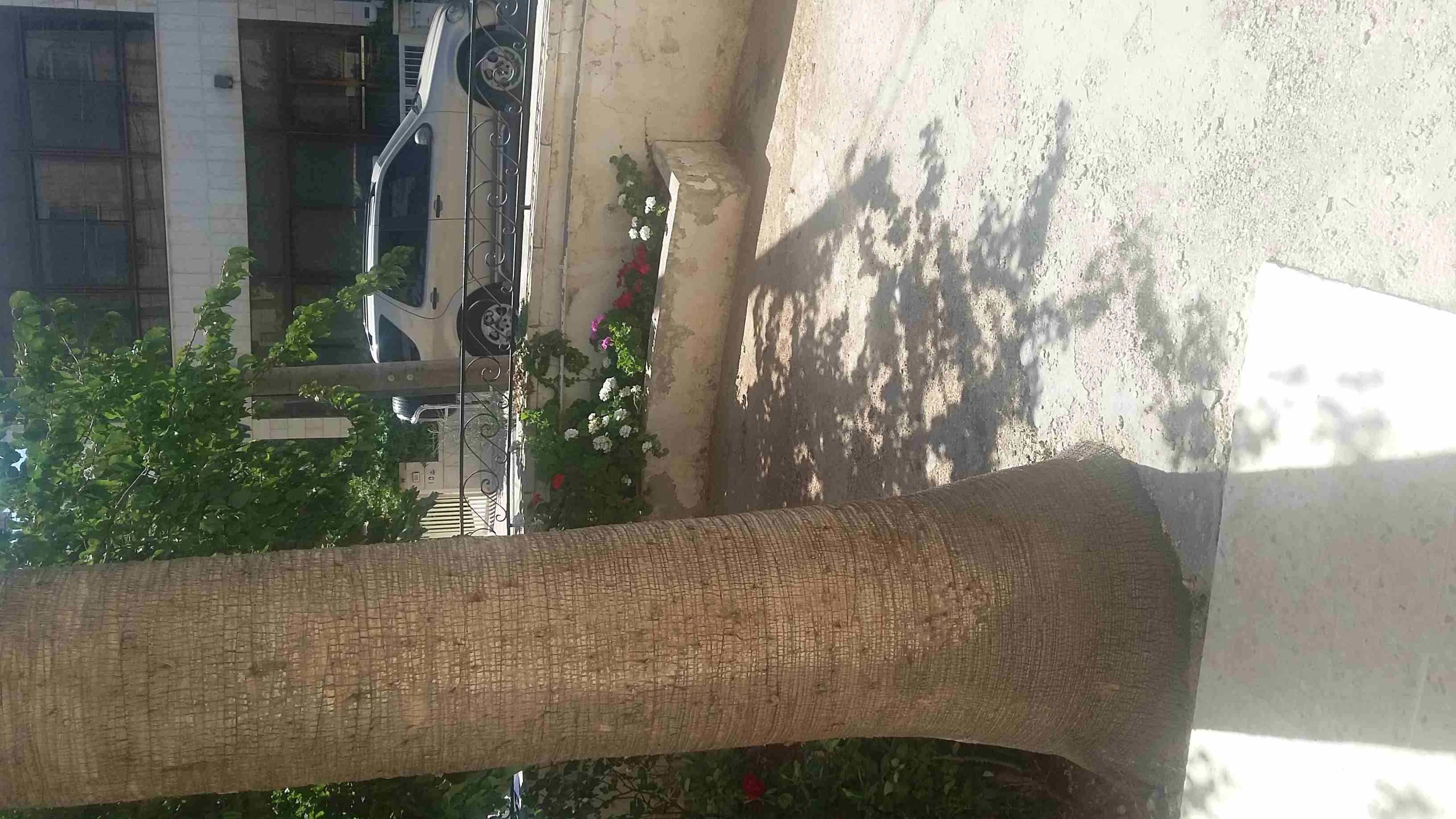 شقه طابق أرضي دوار السابع
لا تنسَ أنك شاهدت هذا الإعلان في عنكبوت
الطابق الأرضي
طابق أرضي مدخلي...