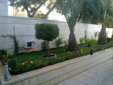 تنسيق الحدائق والديكورات وعمل كل ما يلزم الحديقة
لا تنسَ أنك شاهدت هذا الإعلان في عنكبوت
السل...