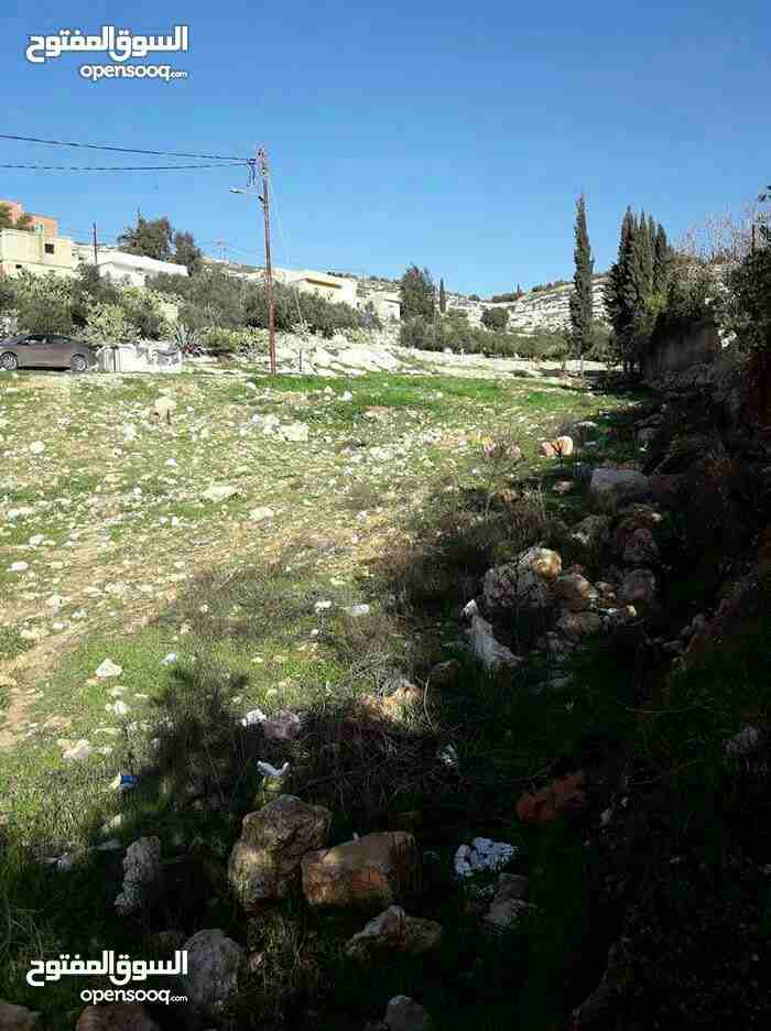 ارض للبيع ناعور وسيل حسبان قرب النبع
لا تنسَ أنك شاهدت هذا الإعلان في عنكبوت
ارض للبيع
اراضي نا...