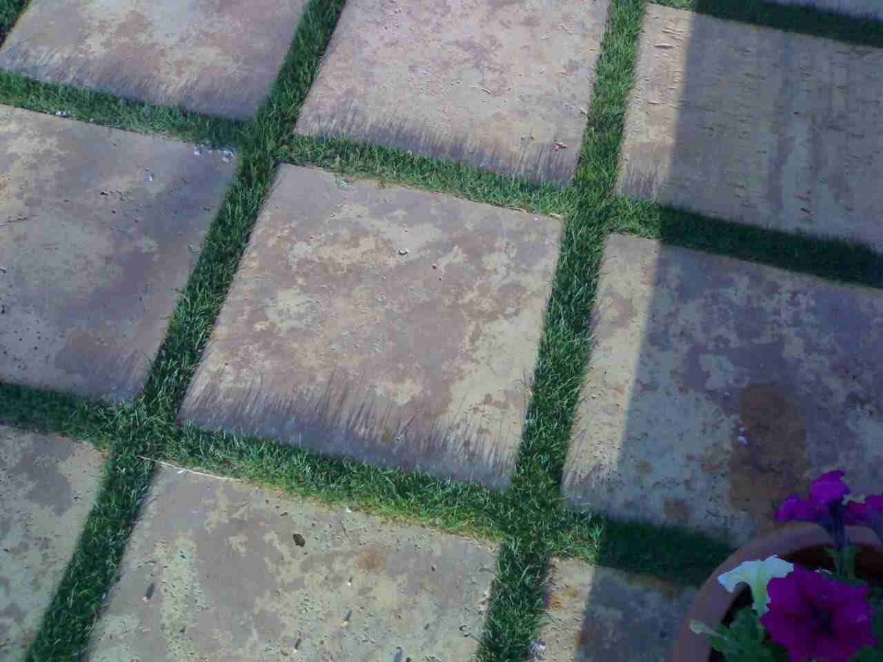 العلاونه لتنسيق الحدائق فلل وقصور 0796516675
لا تنسَ أنك شاهدت هذا الإعلان في عنكبوت
تنسيق حدائق...