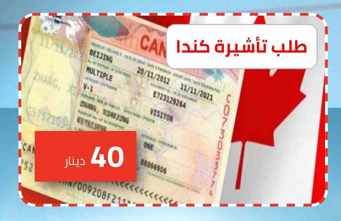فيزا أمريكا وكندا وأستراليا وشنغن وجميع الدول                                            


	 				لا تنسَ أنك شاهدت هذا الإعلان في عنكبوت            
	 				
                            Nonimmigran...