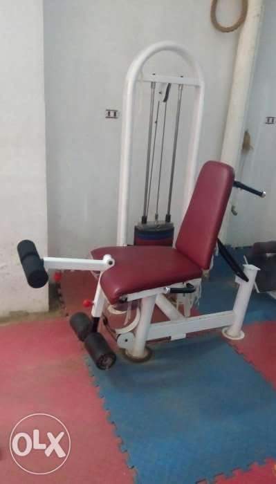 gym for sale                                            


	 				لا تنسَ أنك شاهدت هذا الإعلان في عنكبوت            
	 				
                                اجهزة جيم كامل للبيع...