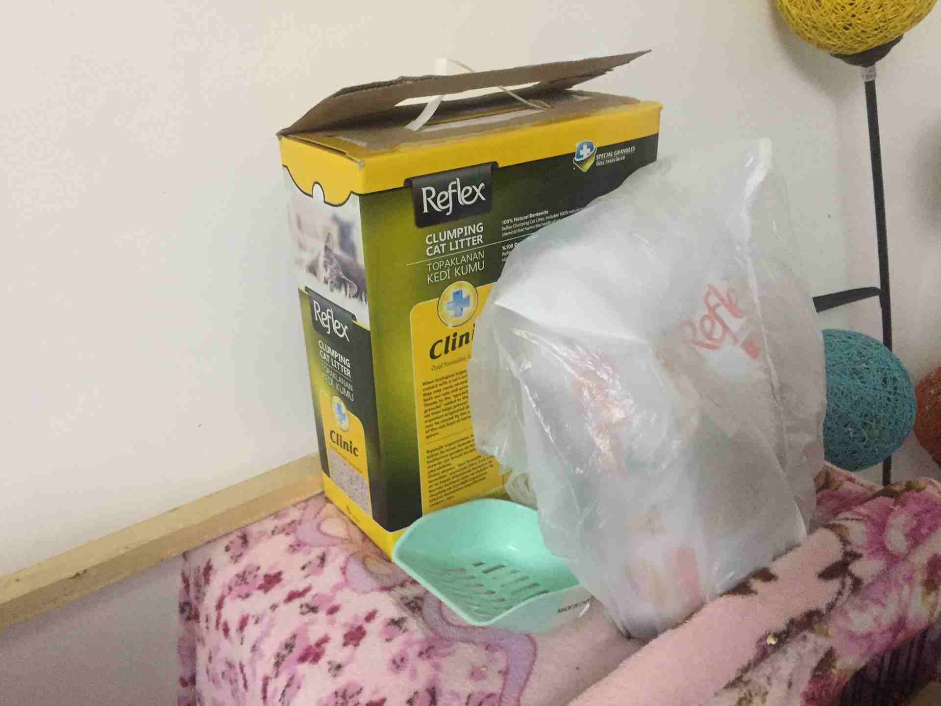 قط لعوووووووب
لا تنسَ أنك شاهدت هذا الإعلان في عنكبوت
قط انغورا ، لعوب جداً جداً جداً جداً جداً ج...