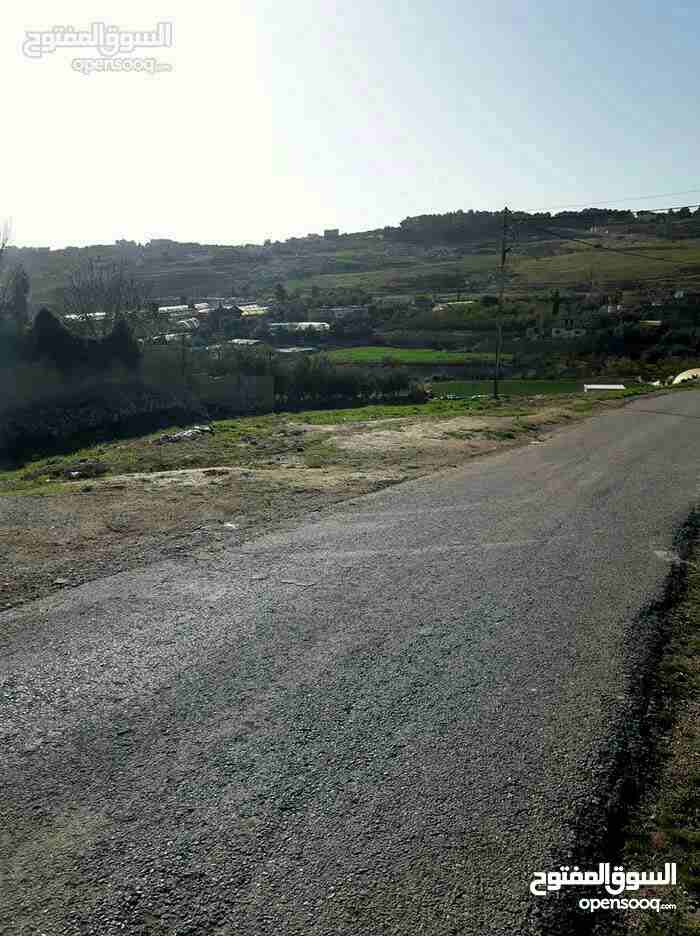 ارض للبيع ناعور وسيل حسبان قرب النبع
لا تنسَ أنك شاهدت هذا الإعلان في عنكبوت
ارض للبيع
اراضي نا...