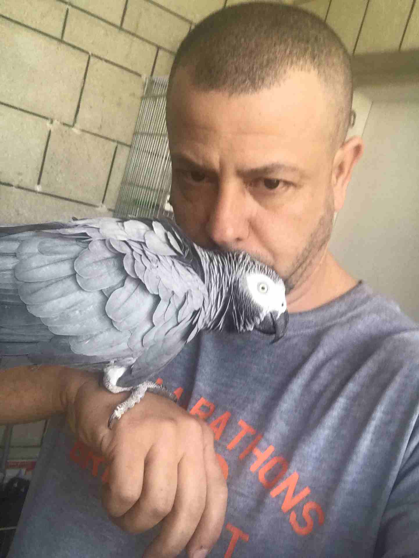 كاسكو عدد 2 للبيع
لا تنسَ أنك شاهدت هذا الإعلان في عنكبوت
كاسكو لون ثلجي بحكي 30 كلمه 370 دينار
ك...
