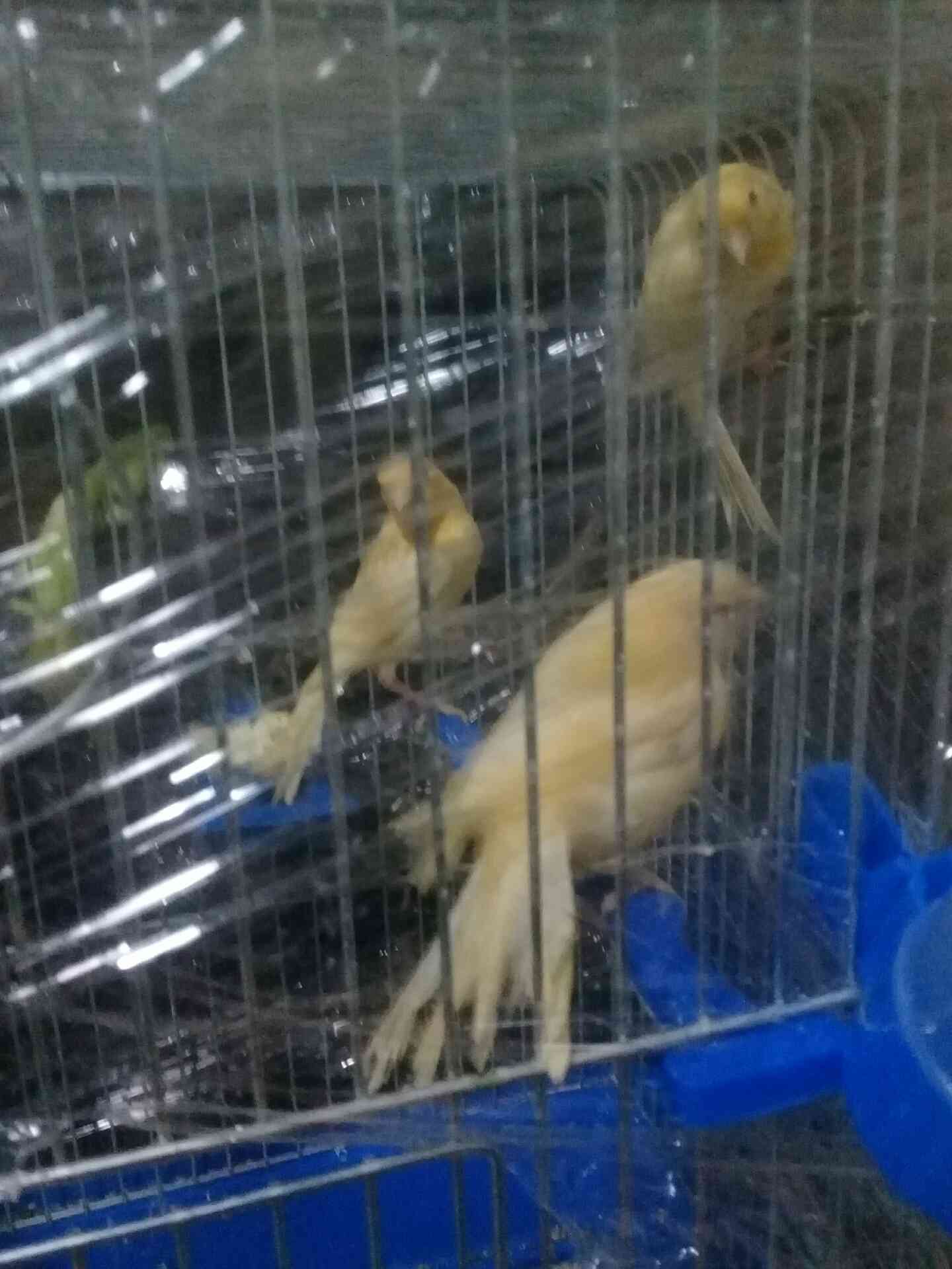 جبل الزهور                                            


	 				لا تنسَ أنك شاهدت هذا الإعلان في عنكبوت            
	 				
                                بصلى على النبي 3 مخليف جزريات البيع سعر ال...