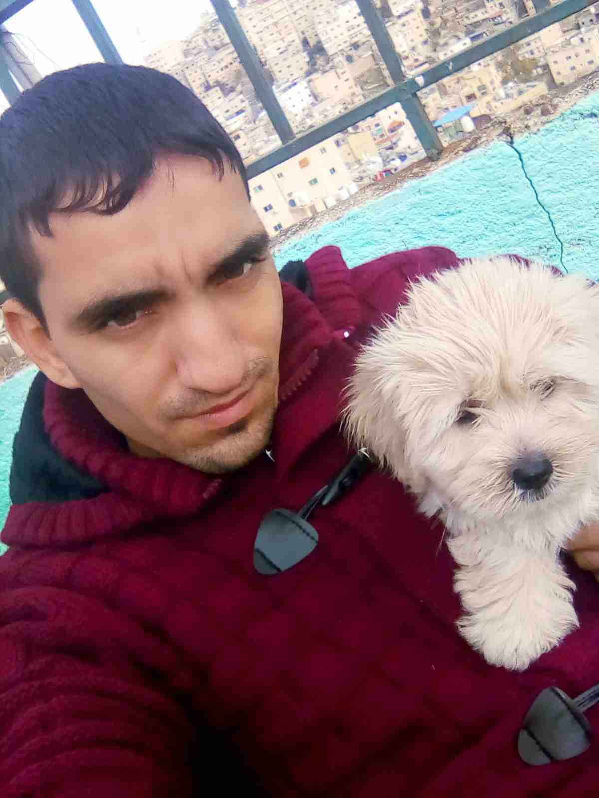 كلب زينه فرينش تيرتير
لا تنسَ أنك شاهدت هذا الإعلان في عنكبوت
عمرو شهرين ونص كلب لعوب ونظيف متدرب...