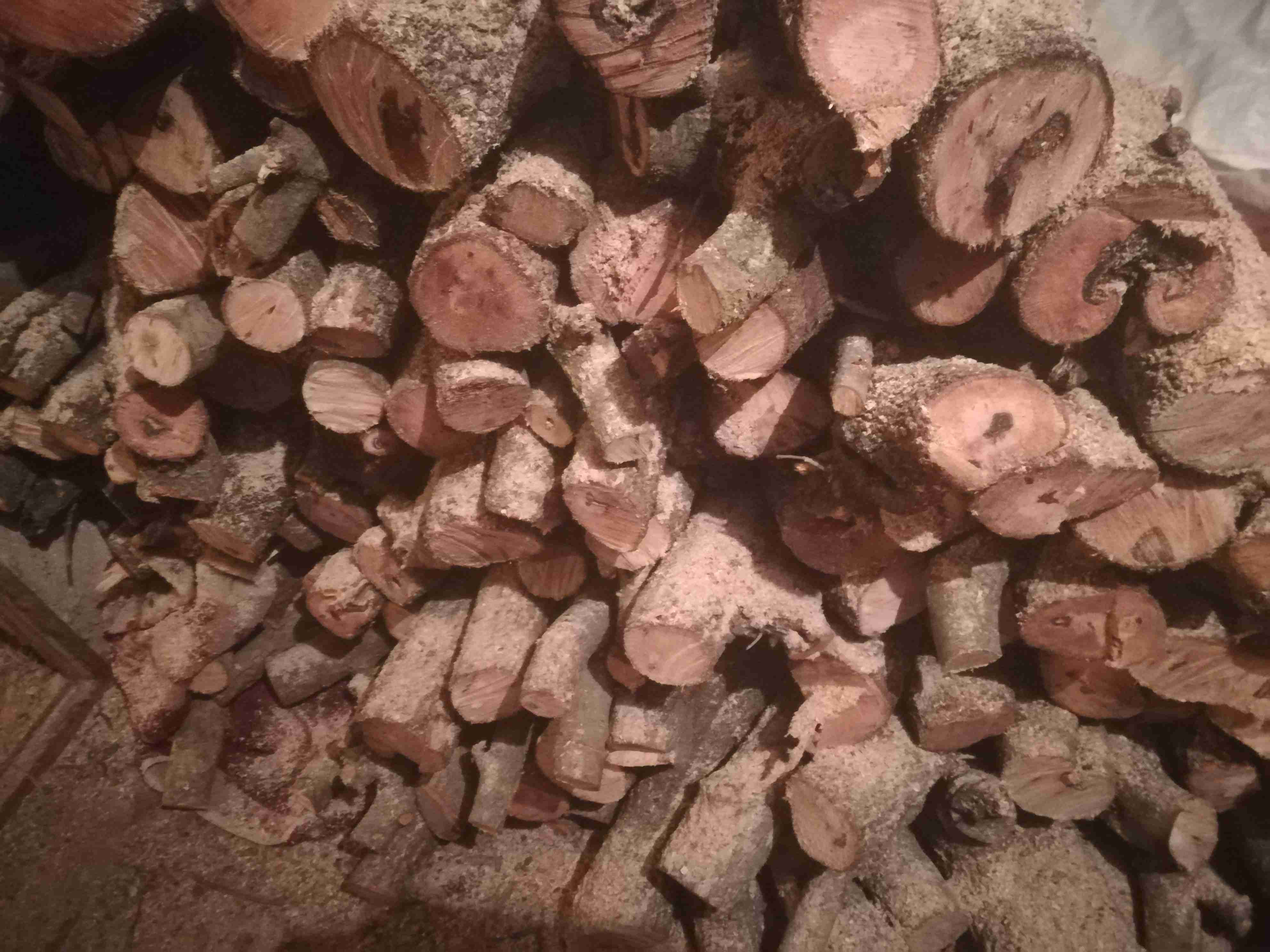 حطب بلوط اصلي بسعر مغري                                            


	 				لا تنسَ أنك شاهدت هذا الإعلان في عنكبوت            
	 				
                                حـْطب بلوط عجلوني اصلي للبيع...