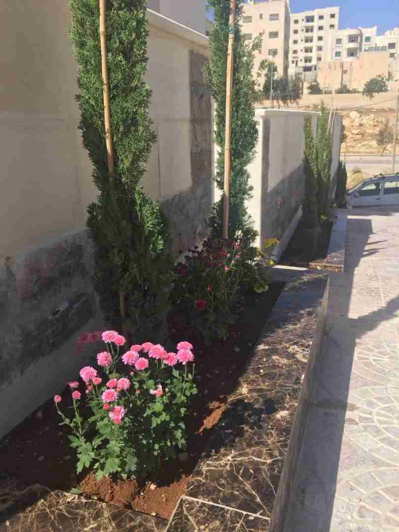 شقة اقساط في شفا بدران ومن المالك مباشرة
لا تنسَ أنك شاهدت هذا الإعلان في عنكبوت
شقة بتشطيب ف...