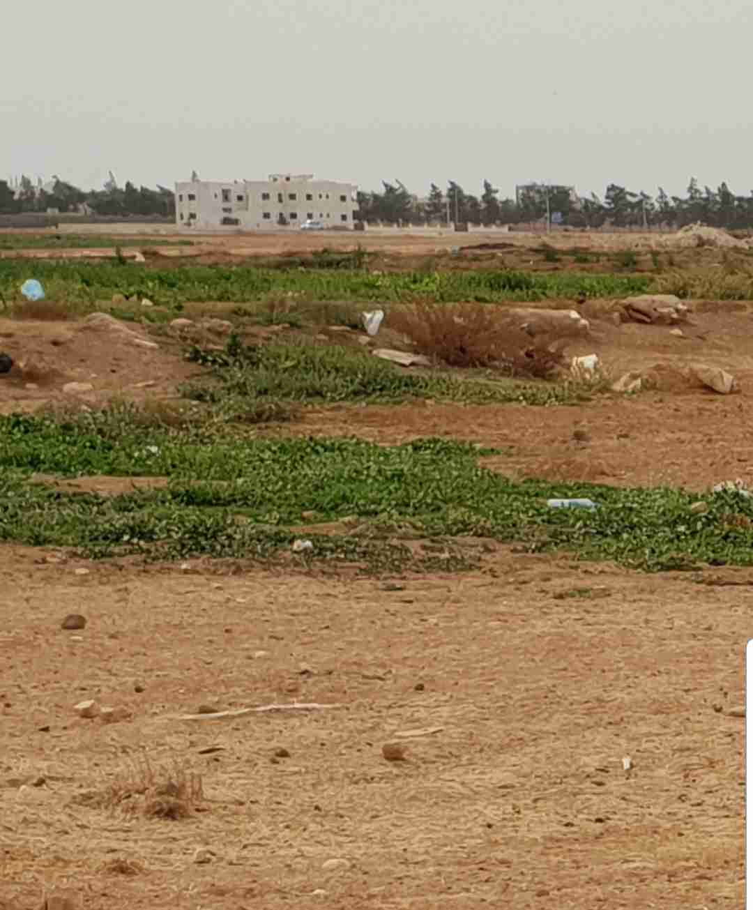أرض سكنية استثمارية في مادبا نصف دونم للبيع داخل التنظيم قوشان مستقل                                            


	 				لا تنسَ أنك شاهدت هذا الإعلان في عنكبوت...