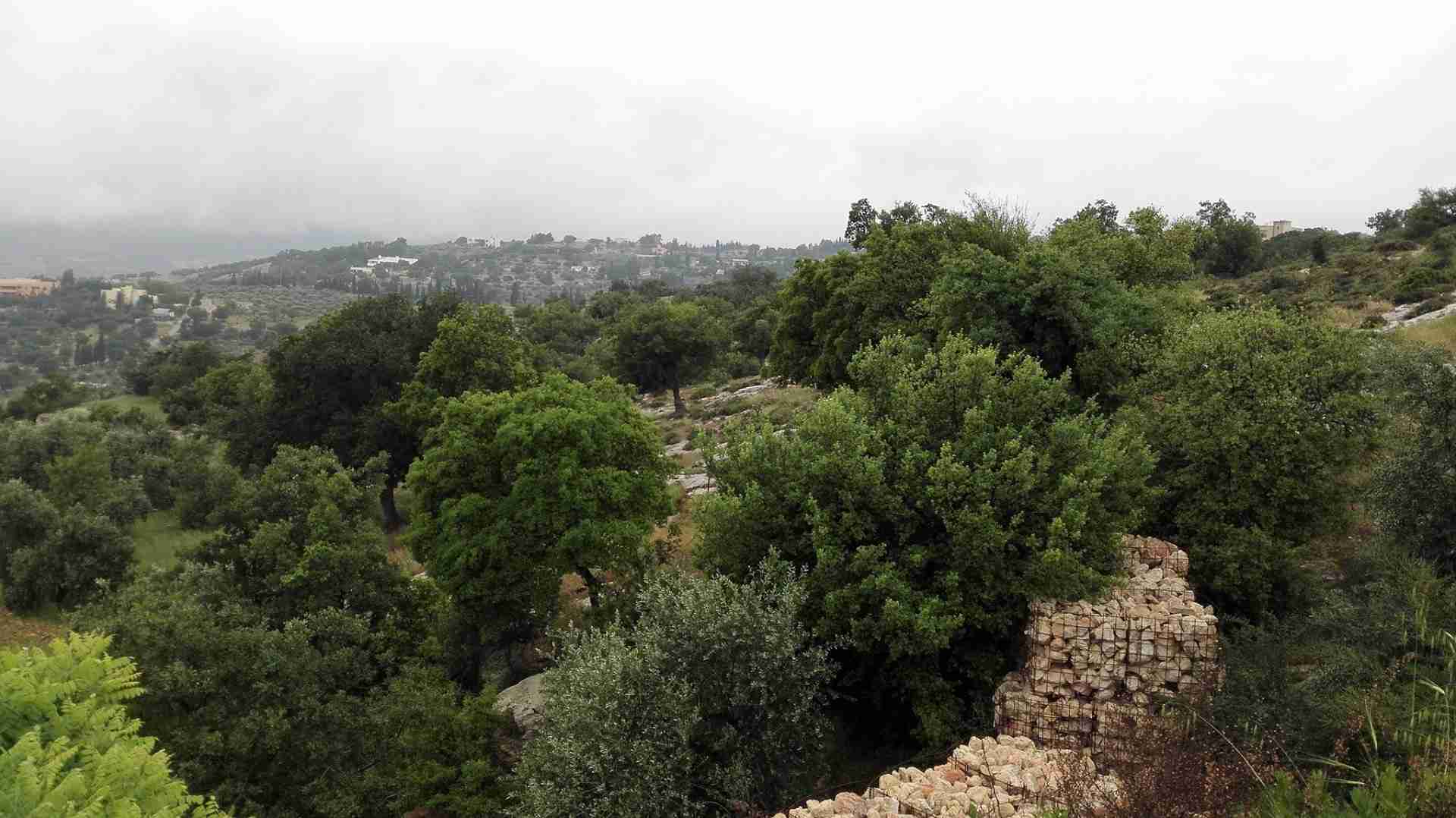 للبيع 633م الكاشف بدر الجديده
لا تنسَ أنك شاهدت هذا الإعلان في عنكبوت
أرض للبيع ، بدر الجديده...