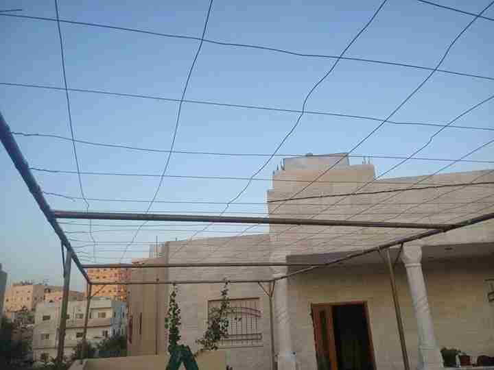 معرشات عنب
لا تنسَ أنك شاهدت هذا الإعلان في عنكبوت
معرشات عنب بافضل الطرق واسعارنا منافسة
ل...