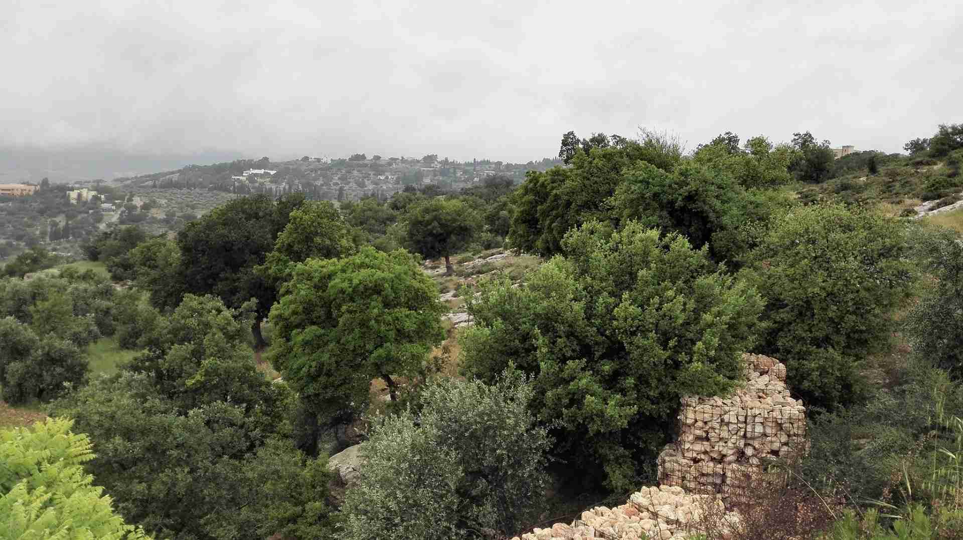 للبيع 633م الكاشف بدر الجديده
لا تنسَ أنك شاهدت هذا الإعلان في عنكبوت
أرض للبيع ، بدر الجديده...
