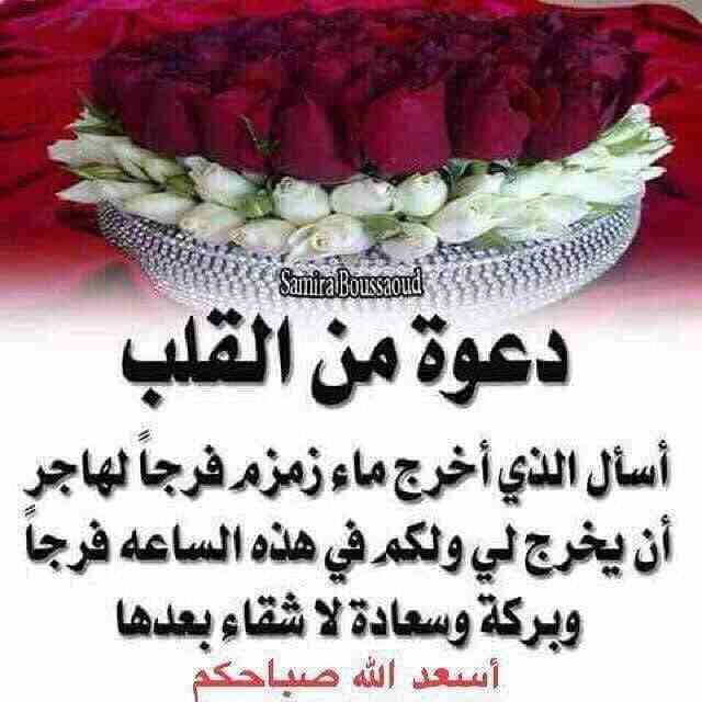 مطلوب شريك ممول ل مشروع                                            


	 				لا تنسَ أنك شاهدت هذا الإعلان في عنكبوت            
	 				
                            مطلوب شريك /شريكه لتمويل  مشروع م...