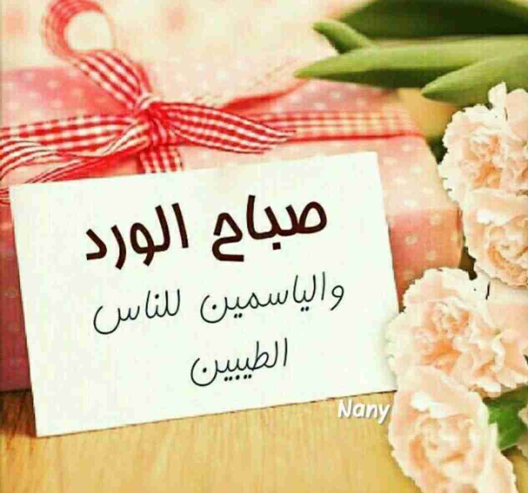 مخيم الازرق                                            


	 				لا تنسَ أنك شاهدت هذا الإعلان في عنكبوت            
	 				
                                بدي كرسي حلاقة مستعمل...