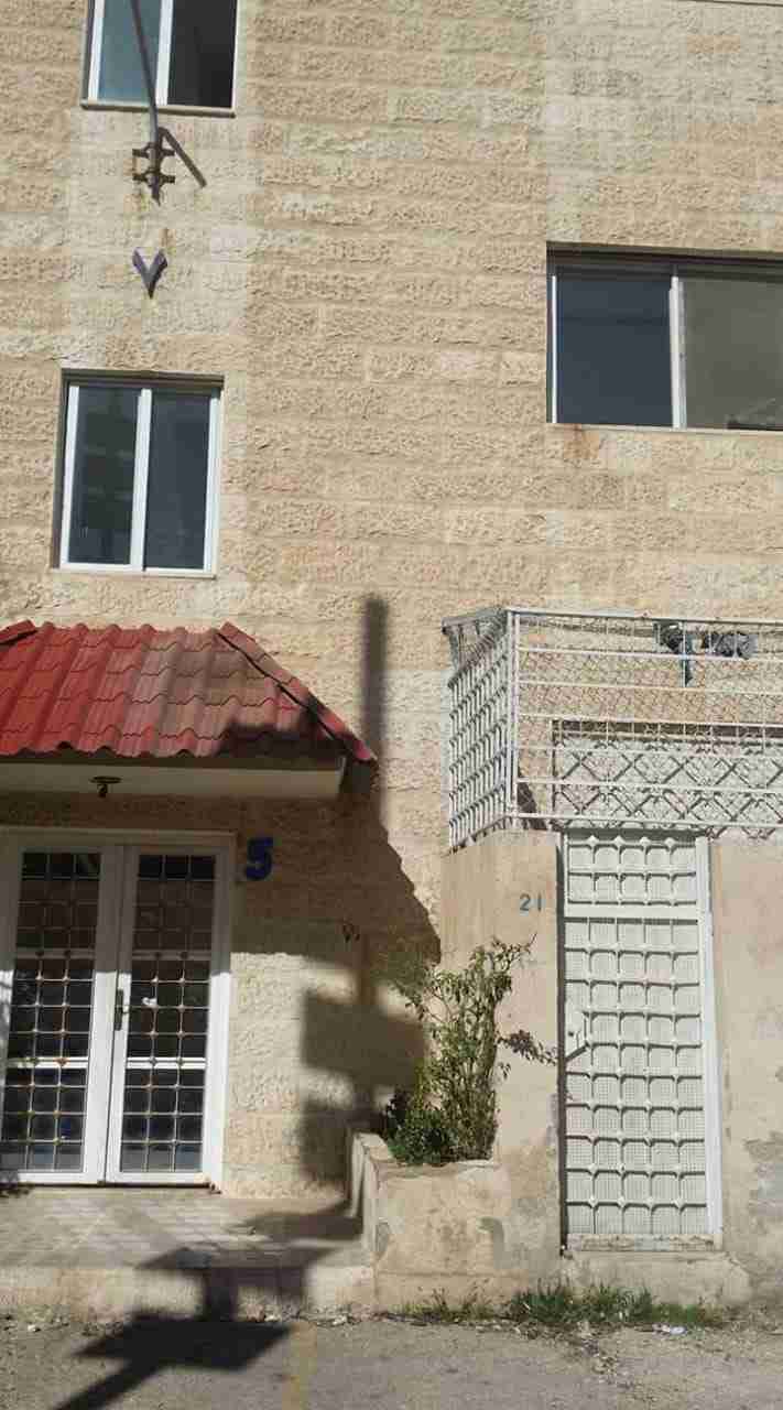 شقة للايجار او للبيع                                            


	 				لا تنسَ أنك شاهدت هذا الإعلان في عنكبوت            
	 				
                                شقه للبيع او الايجارفي البيادر ا...