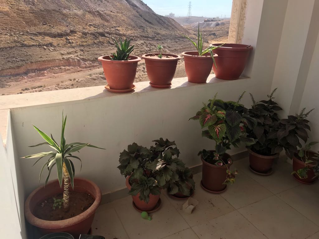 عمان / طبربور/ ضاحية الصفا ديوان 2
لا تنسَ أنك شاهدت هذا الإعلان في عنكبوت
شقة للبيع المساحة...