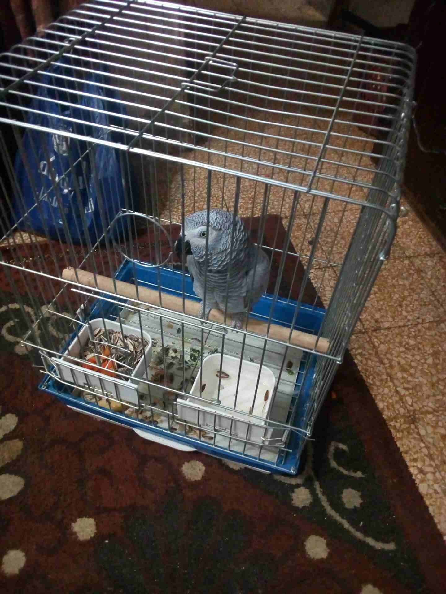 0792324994                                            


	 				لا تنسَ أنك شاهدت هذا الإعلان في عنكبوت            
	 				0792324994

	 				رقم المعلن :0792324994


	 				لمشاهدة المزيد من الإعل...