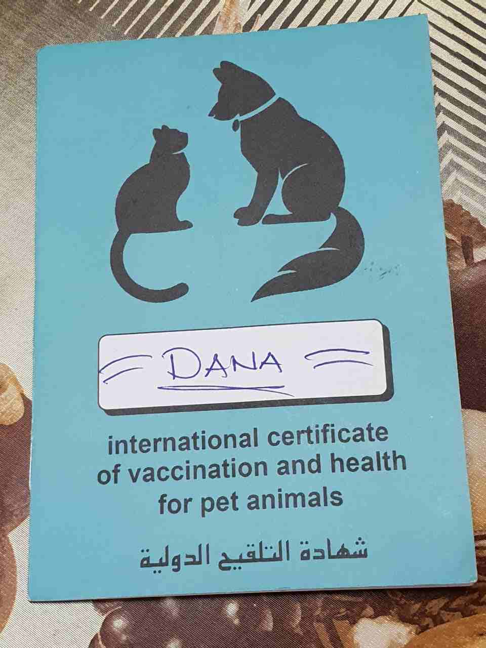 قطط هملايا شوكلت هاف بيكي فيس تقليب عااالي واخدين كل التطعيمات ومعاهم الشهاده الصحية                                            


	 				لا تنسَ أنك شاهدت هذا الإعلان في عنكبوت...