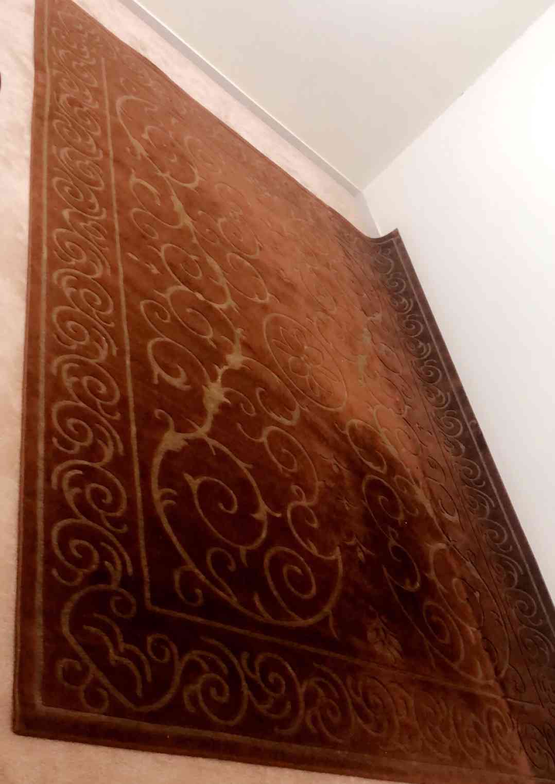 سجاد نوع فاخر وشبه جديد بسعر مغري مع طاوله مجاناً                                            


	 				لا تنسَ أنك شاهدت هذا الإعلان في عنكبوت            
	 				
                                الع...