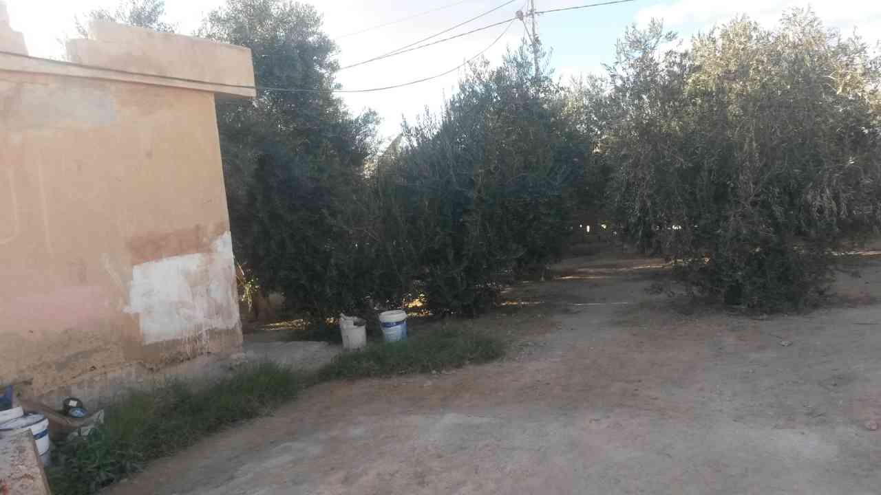 منزل بالقطارنه حي الحجايا للبيع كاش او اقساط
لا تنسَ أنك شاهدت هذا الإعلان في عنكبوت
للبيع كا...