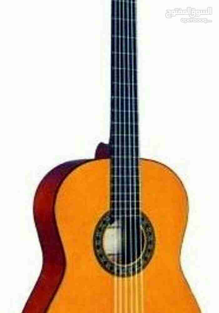جيتار فلمنجو. ست اوتار معدنيه متسلسله. بعدة الوان
لا تنسَ أنك شاهدت هذا الإعلان في عنكبوت
الج...
