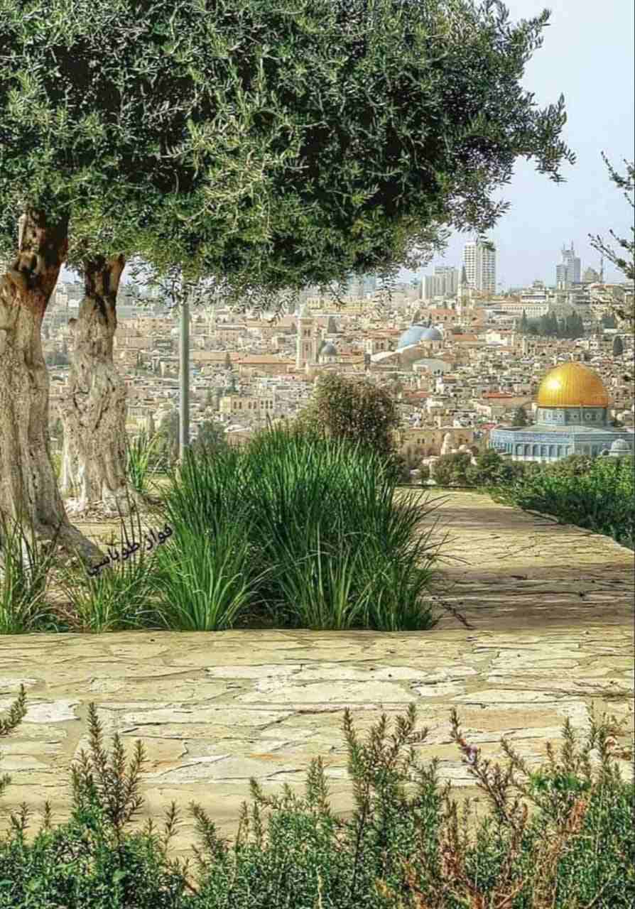 شراء سيارات شطب                                            


	 				لا تنسَ أنك شاهدت هذا الإعلان في عنكبوت            
	 				
                            ابوعبدالله المحسيري لشتري جميع انواع السي...