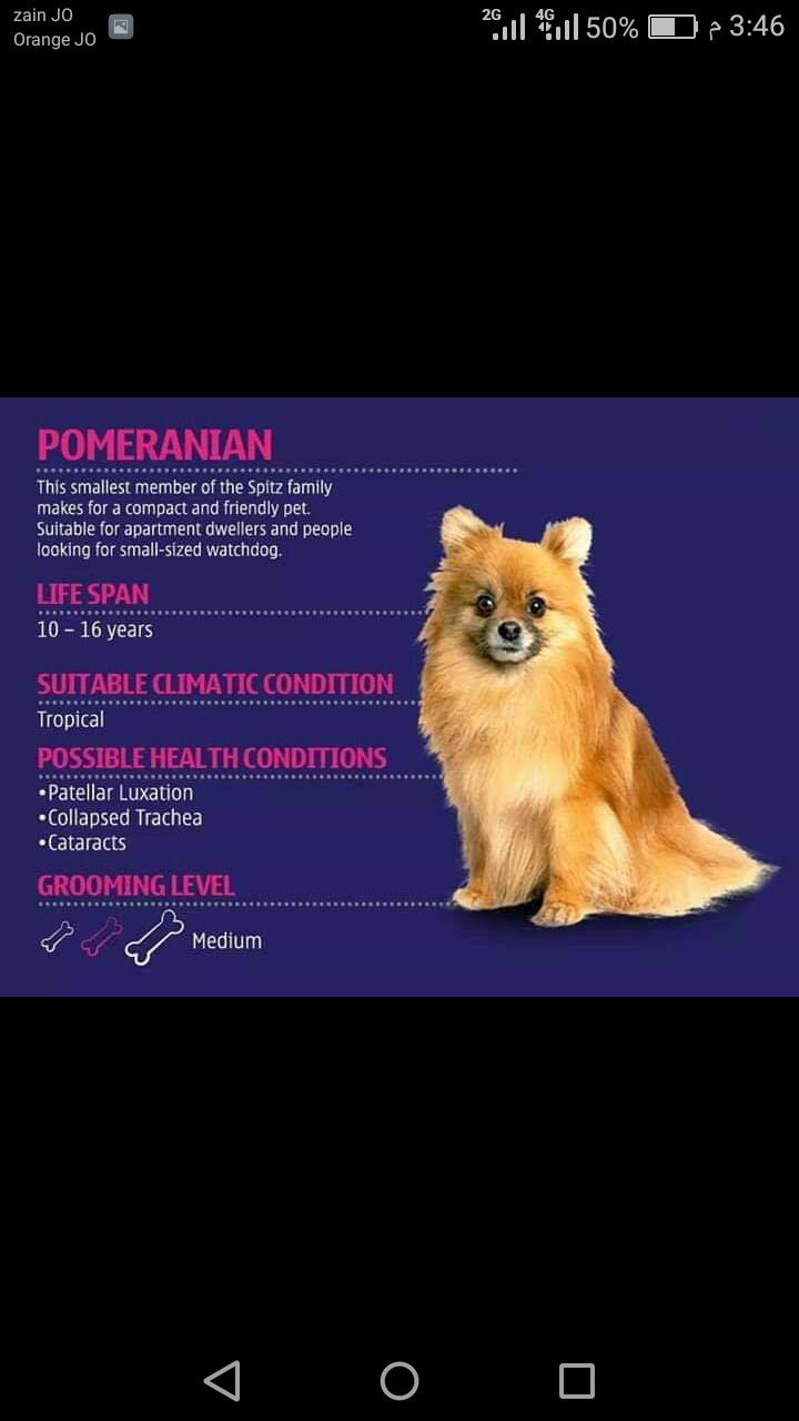 طبيب بيطري مختص                                            


	 				لا تنسَ أنك شاهدت هذا الإعلان في عنكبوت            
	 				
                            مريان لخدمة القطط والكلاب طبيب بيطري مميز...