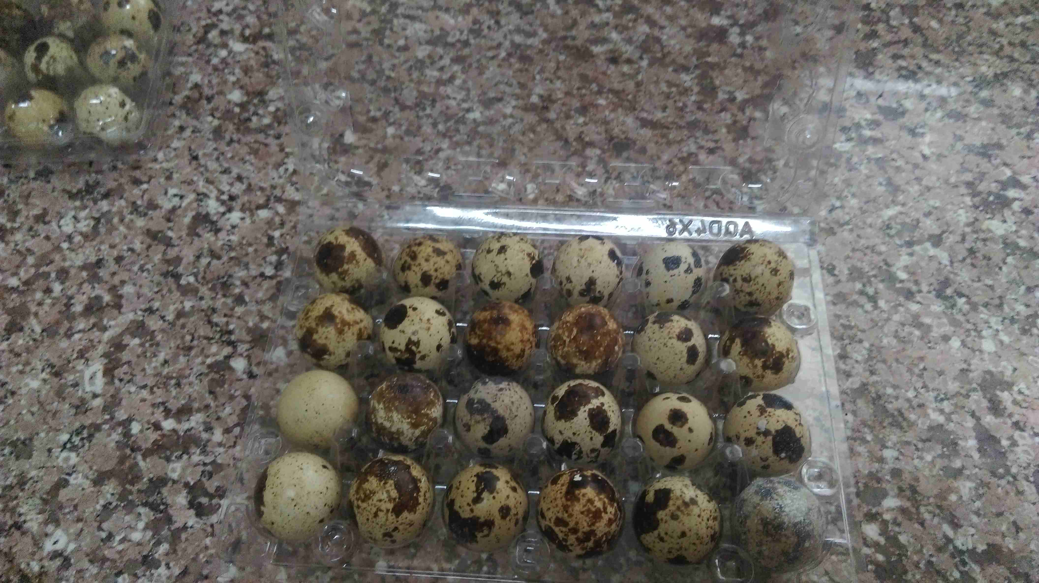 طبق بيض فري ب 75 قرش يا بلاش
لا تنسَ أنك شاهدت هذا الإعلان في عنكبوت
بيض فري للاكل ويوجد مخصب لاص...