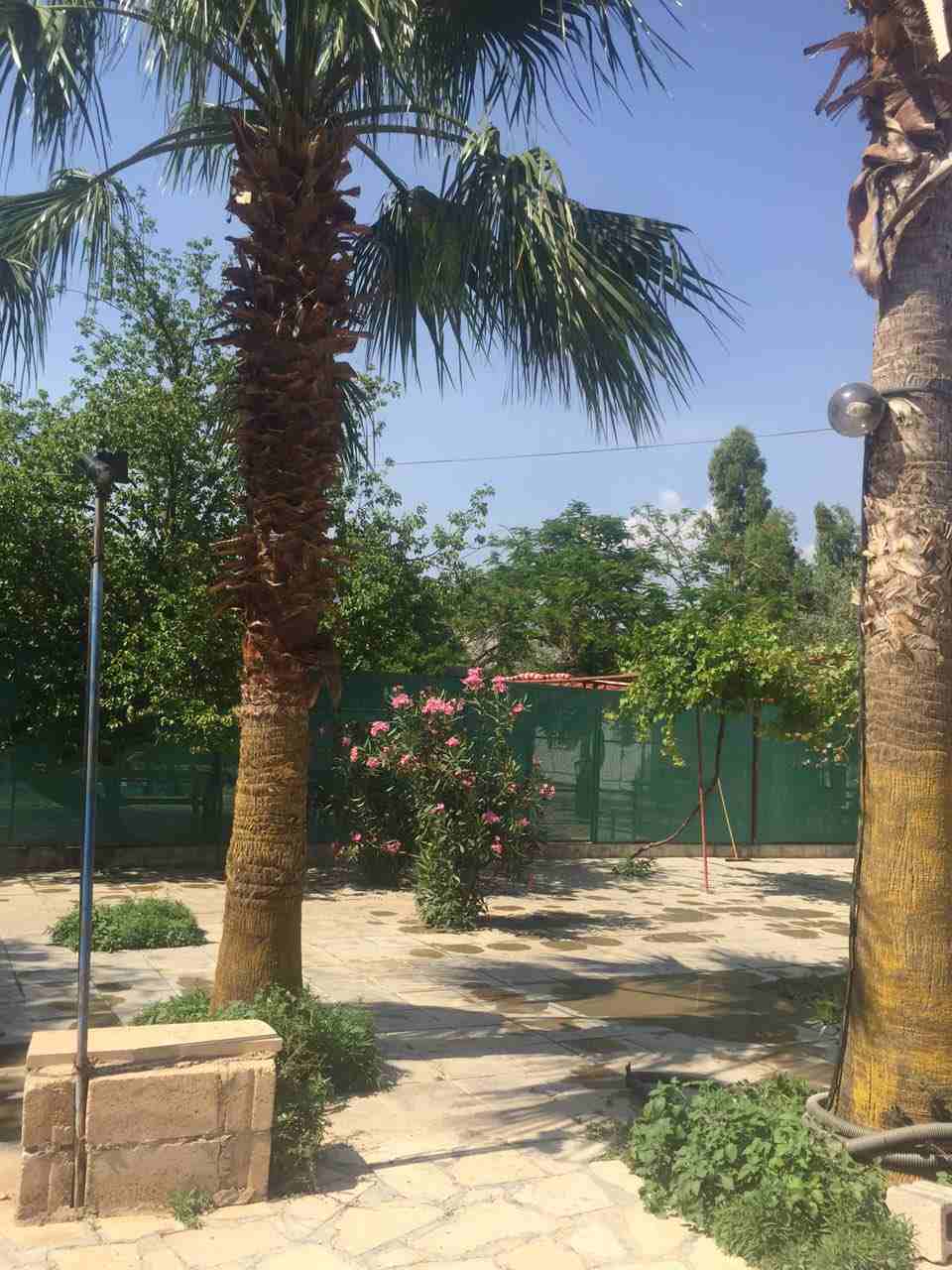رحلات في الاردن احجز رحلات إلى البتراء وادي رم العقبة جرش عجلون
لا تنسَ أنك شاهدت هذا الإعلان في عنكبوت...