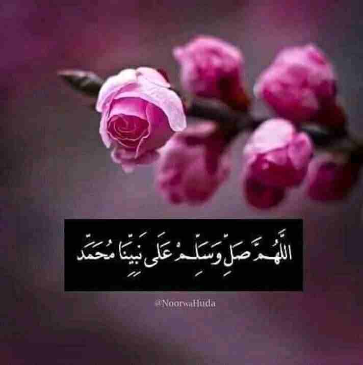 مطلوب سياره دفعه 500 دينار شهري 500 دينار                                            


	 				لا تنسَ أنك شاهدت هذا الإعلان في عنكبوت            
	 				
                            مطلوب سياره دفع...