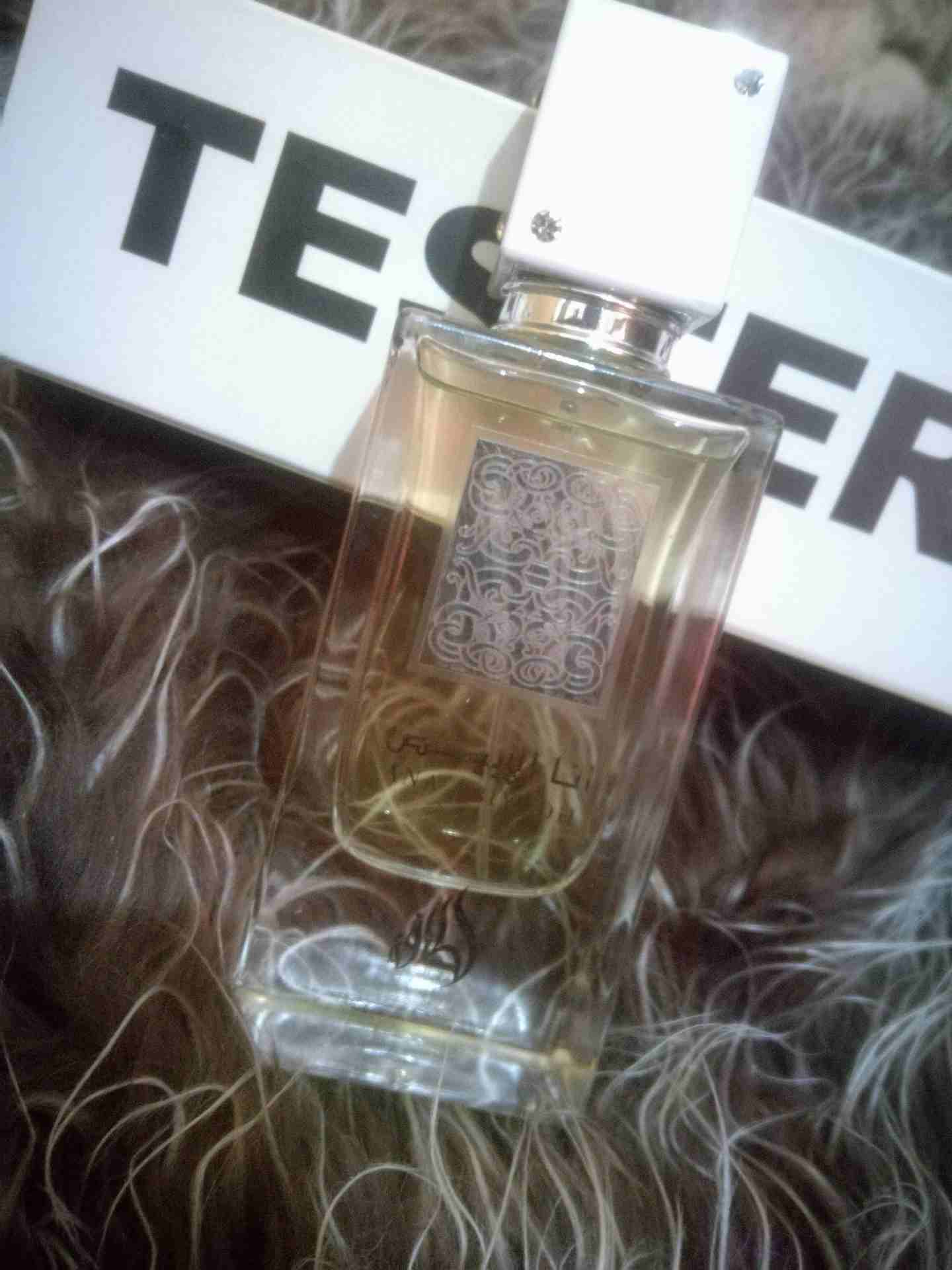 عطور تستر ماركات عالمية وفرنسيه بسعر حرق التجربه خير برهان
لا تنسَ أنك شاهدت هذا الإعلان في عنكبوت...