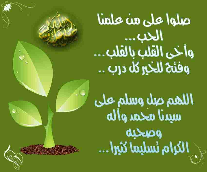 زيت زيتون                                            


	 				لا تنسَ أنك شاهدت هذا الإعلان في عنكبوت            
	 				
                                عصر جديد  بعل مكفول 100 %ما عجبك ر جع الزيت...