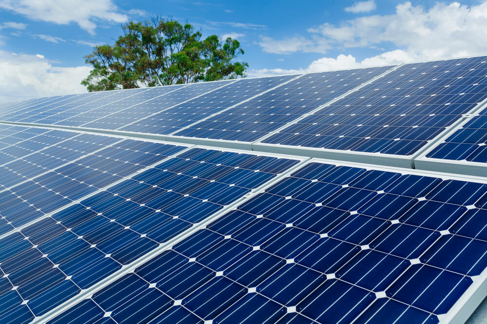 طاقة شمسية - خلايا شمسية - solar                                            


	 				لا تنسَ أنك شاهدت هذا الإعلان في عنكبوت            
	 				
                                مجانا :
تقديم الاست...