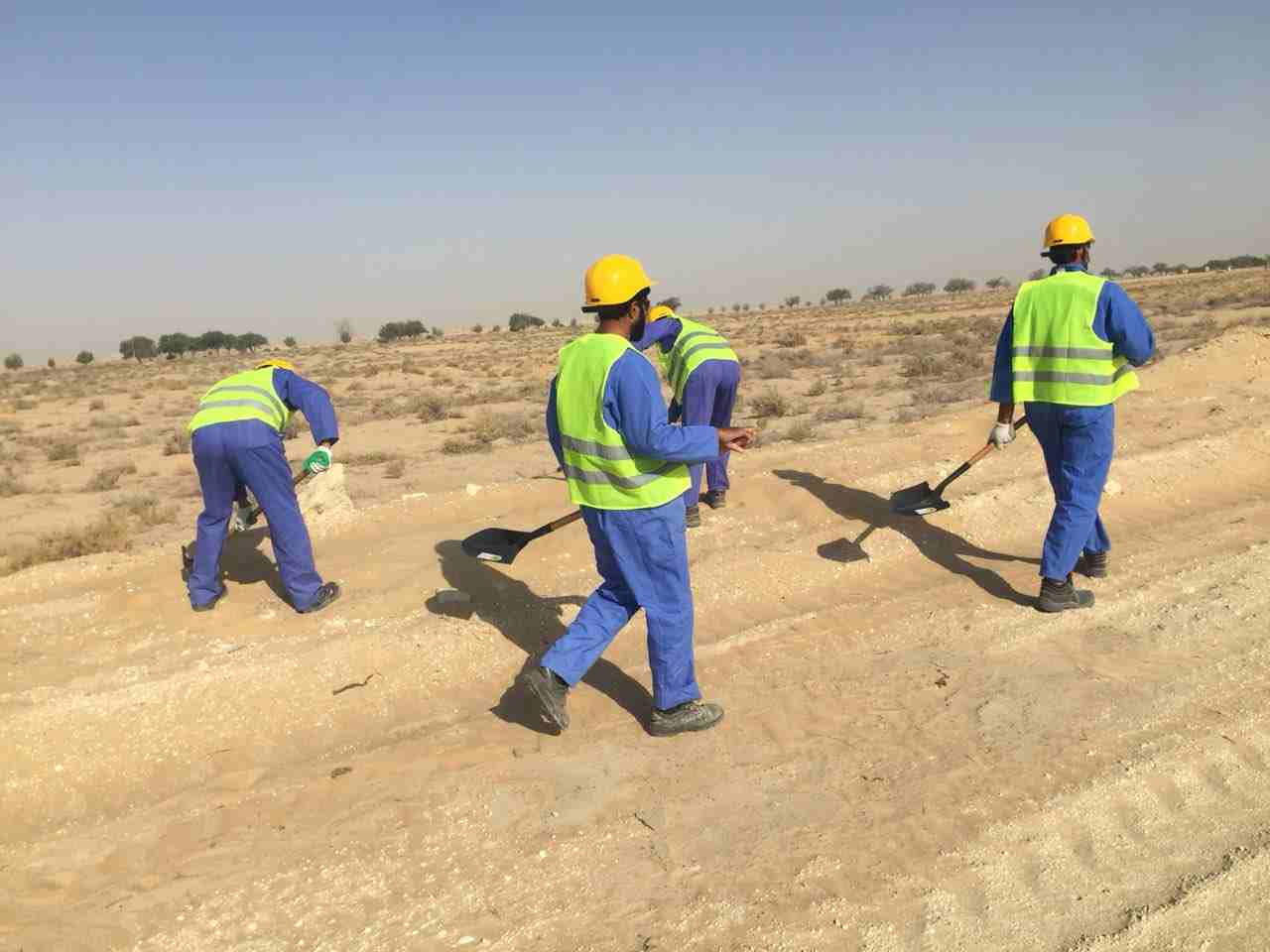الرياض
لا تنسَ أنك شاهدت هذا الإعلان في عنكبوت
شركه الجرسي لاتوريد النخيل وتركيب الشبوك وتصميم ال...