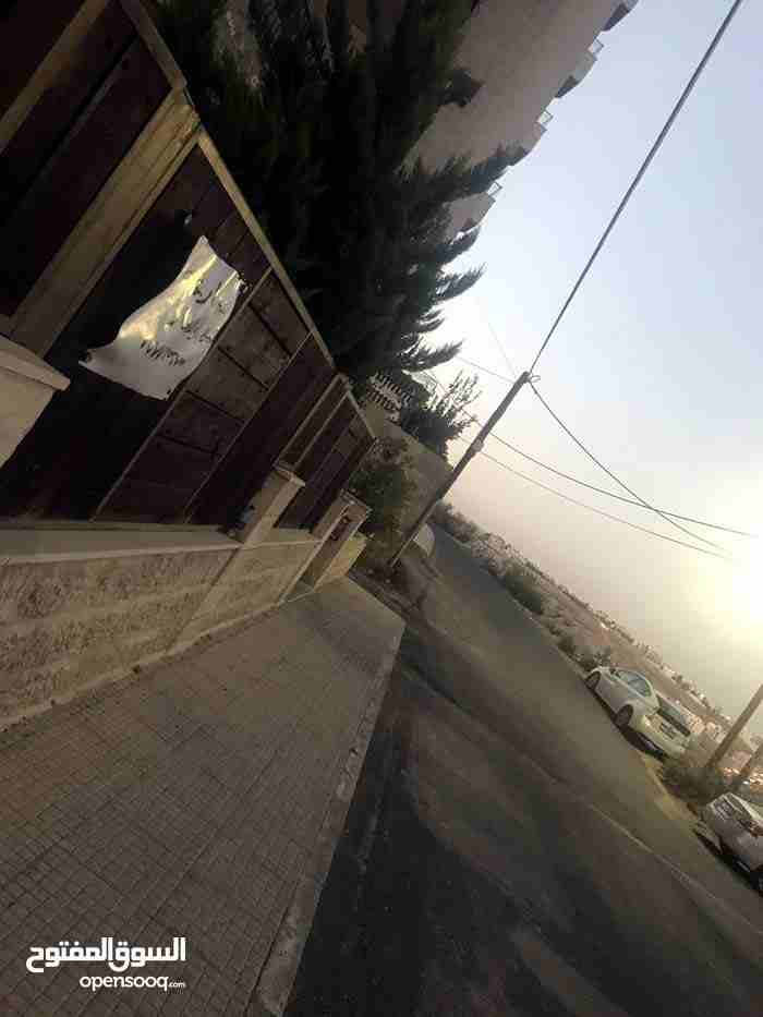 شقة أرضية للايجار مجدده بلكامل
لا تنسَ أنك شاهدت هذا الإعلان في عنكبوت
شقة فارغة للايجار
3نوم 3حم...