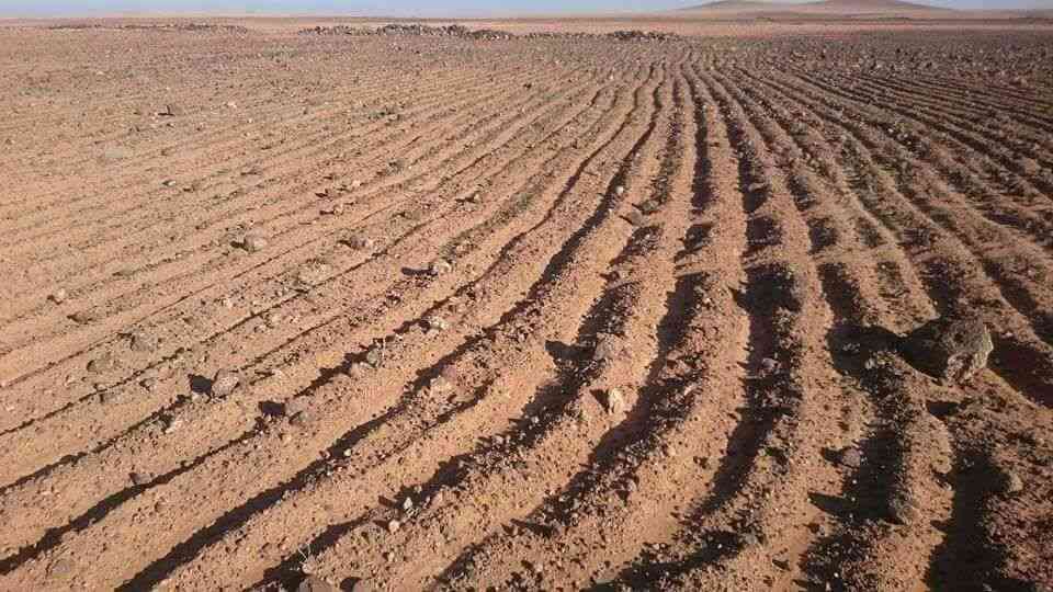 ارض للبيع المفرق البادية الشمالية تل الرماح مساحة31دنم
لا تنسَ أنك شاهدت هذا الإعلان في عنكبوت...