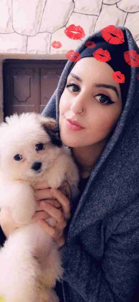 2 months Maltese Terrier
لا تنسَ أنك شاهدت هذا الإعلان في عنكبوت
كلب انثى مالتيز ترير لعوبة جدا و...