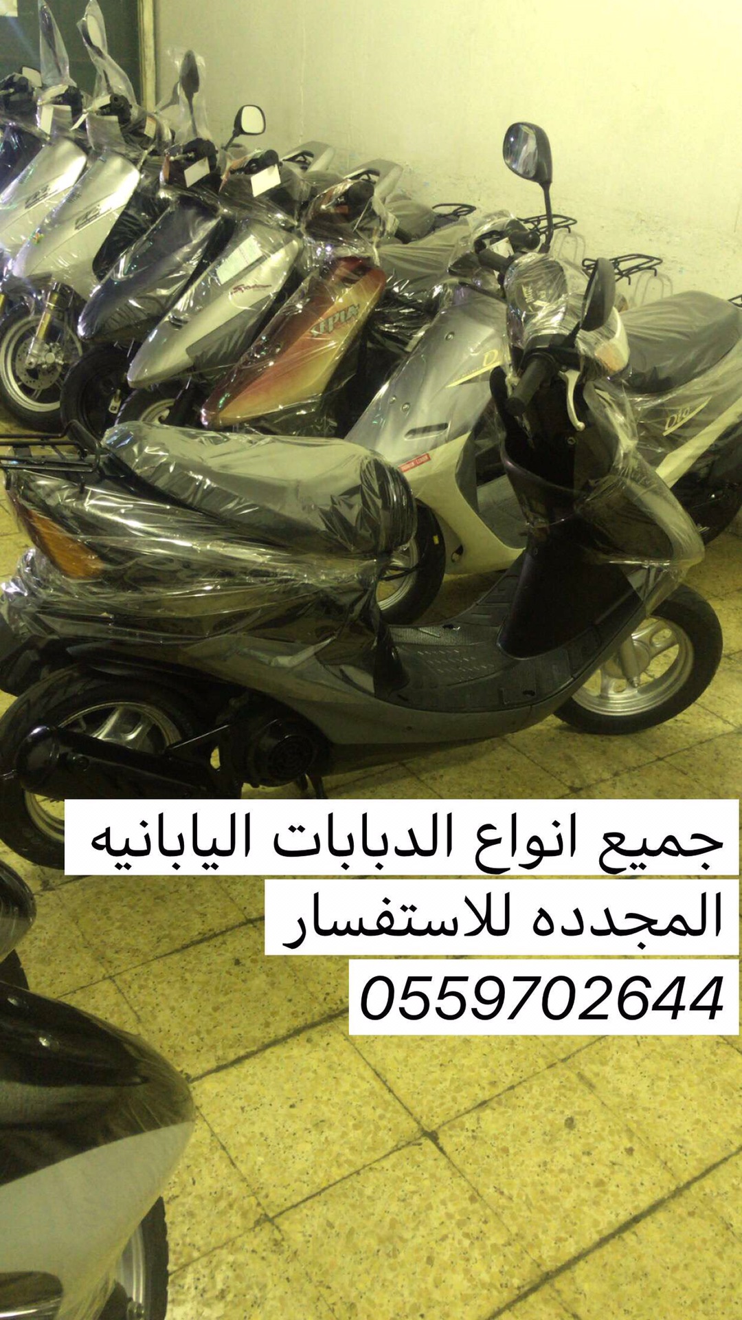 دبابات بطه ياباني هوندا و سوزوكي مستخدم و مجدد                                            


	 				لا تنسَ أنك شاهدت هذا الإعلان في عنكبوت            
	 				
                                الــسـ...