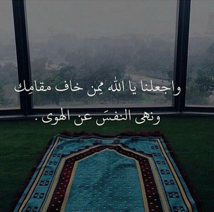 مطلوب شروه ادوات منزليه بسعر ممتاز                                            


	 				لا تنسَ أنك شاهدت هذا الإعلان في عنكبوت            
	 				
                            مطلوب شروه ادوات منزلي...