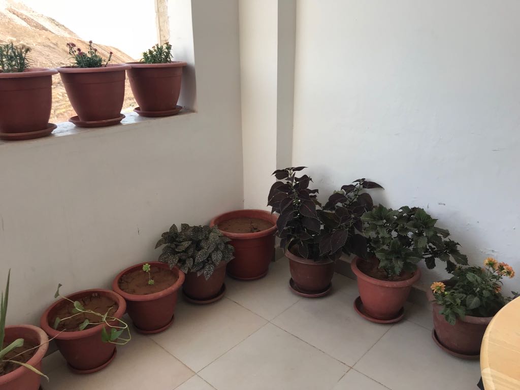 عمان / طبربور/ ضاحية الصفا ديوان 2
لا تنسَ أنك شاهدت هذا الإعلان في عنكبوت
شقة للبيع المساحة...